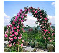 Arche de jardin noire pour roses grimpantes - 140 cm x 230 cm - Cadre décoratif extérieur - Treillis en métal - Arche de jardin pour améliorer l'esthétique et le soutien du jardin.