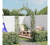 Arche de Jardin Pointue pour Plantes Grimpantes Support de Rosiers vidaXL