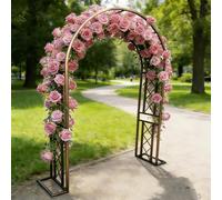 Arche de jardin pour plantes grimpantes, cadre de support en acier avec revêtement en polyéthylène, arche décorative pour mariage et terrasse, idéale pour les treillis de jardin et les vignes de