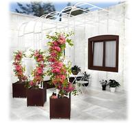 Arche de jardin pour plantes grimpantes, demi-treillage en métal, pergola en plein air, support décoratif de jardin pour pelouse et balcon, 90 à 300 cm de large (blanc, 260 x 240 cm)