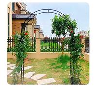 Arche de jardin pour plantes grimpantes, pergola design tonnelle pour décoration extérieure de jardin, idéale pour soutenir la rose et la vigne, 350 cm x 220 cm