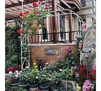 Arche de jardin pour plantes grimpantes - Pergola en métal résistant aux intempéries pour roses et vignes, arche de mariage, décoration de jardin extérieur, treillis pour pelouse et arrière-cour