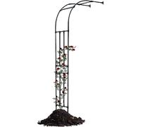 Arche de Jardin pour Plantes grimpantes, pergola Murale en métal, Support pour Plantes, Support de Fleurs d'extérieur, Arche de Mariage, Treillis pour Roses, décoratif pour événements et Noë