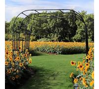 Arche de jardin pour plantes grimpantes - Treillis métallique pour roses et légumes, soutien extérieur pour une croissance améliorée