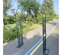 Arche de jardin pour rosiers grimpants - Arche de jardin en métal robuste pour diverses plantes grimpantes - Vert 340 x 230 cm, parfaite pour la décoration et le soutien du jardin.
