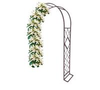 Arche de jardin robuste en métal de 230 cm avec treillis de base pour plantes grimpantes, pergola d'extérieur pour terrasse, cour, pelouse, disponible en noir, blanc, vert, marron.
