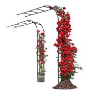 Arche de jardin robuste en métal de 240 cm - Support de demi-treillis pour roses grimpantes résistant aux intempéries - Structure métallique décorative de jardin (l : 150 x H : 240 cm)
