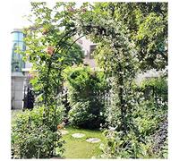 Arche de jardin, support de plantes en fer forgé pour roses grimpantes, treillis décoratif de jardin, noir, 120 cm x 220 cm, parfait pour la décoration extérieure et la croissance des plantes