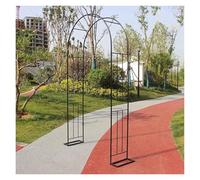 Arche de jardin, treillis de jardin en métal, arche de jardin, pergola extérieure, rosiers, treillis pour plantes grimpantes et roses solides (l 12 x 19 cm)
