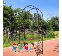 Arche de jardin, treillis de jardin en métal, tonnelle de jardin pour plantes grimpantes, arche de mariage pour pelouse, fête, décoration de jardin (marron, 16,5 x 22,4 m)