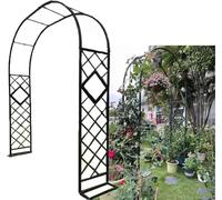 Arche de jardin treillis pour plantes grimpantes et vignes, structure métallique revêtue de poudre, décoration extérieure pour terrasse et cour, 340 x 230 cm