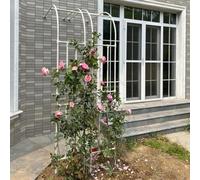 Arche de jardin treillis pour plantes grimpantes Structure de support décorative extérieure