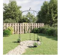 vidaXL Arche de jardin Ø180x255 cm Acier Noir