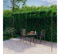 Pergola de Jardin Marron Antique 6x3x2,5 m Fer Forgé Arche de Patio vidaXL