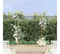 vidaXL Arche de mariage Doré 150 x 45.9 x 200 cm Acier