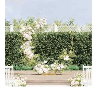 Arche de mariage en acier Vidaxl 195 x 35 x 211 cm - design en cœur
