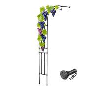 Arche de rosier réglable en métal pour plantes grimpantes Support mural en acier Finition noire élégante Hauteur 90-240 cm Parfait pour terrasse et jardin