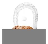 Arche de Toilettage pour Chat - Masseur Autonettoyant pour Chat,Outil de Desquamation avec Balle Interactive, Accessoire pour Chaton Jouet de Massage Tête Dos Visage