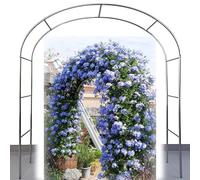 Arche en acier inoxydable pour plantes grimpantes - Pergola de jardin en métal pour intérieur et extérieur - Treillis de roses - 220 x 240 cm (l x H) - Décoration de jardin durable