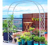 Arche Jardin Fer forgé Arche à rosiers Exterieur 140cm 200cm 240cm 260cm 310cm 350cm 370cm pour Plante Grimpantes Noir Blanc (Color : Blanc, Size : 240cm x 250cm)