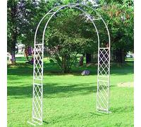 Arche Jardin Fer forgé Arche à rosiers Exterieur 140cm 200cm 240cm 260cm 310cm 350cm 370cm pour Plante Grimpantes Noir Blanc (Color : Blanc, Size : 200cm x 250cm)