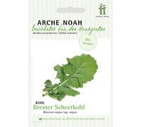 Arche Noah Chou Frisé Sibérien "Bremer Scheerkohl" Bio - 1 sachet