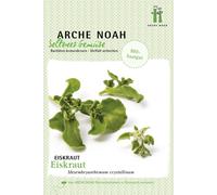 Arche Noah Ficoïde Glaciale Bio - 1 sachet