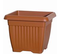 Arche Pots Lys Cadre 630