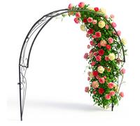 Arche pour rosiers demi-arche murale treillis tuteur porte jardin métal