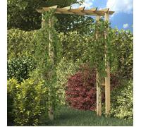 Arche pour rosiers - vidaXL - Bois imprégné - 150x60x204 cm - Résistant à la pourriture