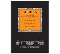 Arches 795104 Pad Aquarelle Grain TORCHON Naturel Blanc 300G A3 12P, Bois