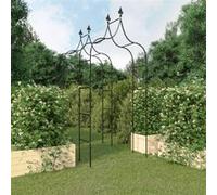 Arches de jardin 2 pcs Noir 120x38x260 cm Acier Noir G