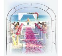 Arches de jardin en acier inoxydable durable - Cadre de support solide pour la culture de légumes - Antirouille et anti-corrosion - 2 m de large x 2,4 m de haut - Idéal pour les arches de roses et les