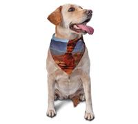Arches National Park Bandana pour chien et chat de petite et moyenne taille, accessoire photo, bandanas triangulaires réglables et lavables