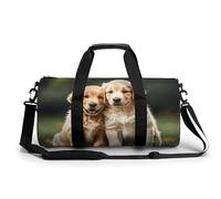 Arches National Park - Petit sac de sport de voyage standard avec compartiment - Sac de voyage pour homme et femme, Golden Retriever Dogs Chiots, 17.7in/9in/9in