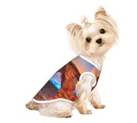 Arches National Park Print Vêtements pour petits chiens T-shirts respirants pour chiots chatons pour animaux de compagnie chiens chats