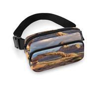 Arches National Park Sac banane avec sangle réglable Sac banane tendance pour sports de plein air randonnée Blanc 20 x 13 cm