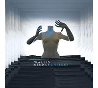 Wallis Bird – Architect – Vinyle 12" (album) avec CD