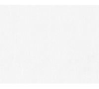Architects Paper papier peint intissé Pigment Classic, blanc, à peindre, 10,05 m x 0,53 m, 950918, 9509-18