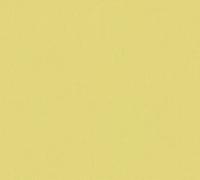 Architects Paper Unitapete 377488 37748-8 Floral Impression Papier peint uni sans PVC Vert mat lisse