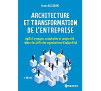 Architecture Et Transformation De L'entreprise - Agilité, Synergie, Coopération Et Complexité : Relever Les Défis Des Organisations D'aujourd'hui