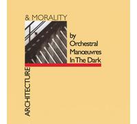 Architecture & Morality Vinyle
