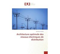 Architecture optimale des réseaux électriques de distribution