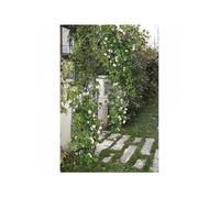 Arco In Ferro Per Rampicanti E Ingresso Giardino Piante Cm 37x130xh240 Verdemax Multicolore
