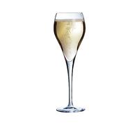Arcoroc - Collection Brio - 6 flûtes à Champagne 16 cl - Transparence et résistance - Fabriquées en France - Emballage renforcé