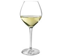 Arcoroc Verres à vin blanc Arcoroc Grands Cépages 470ml (lot de 12), 470ml. Boîte de 12, DH853