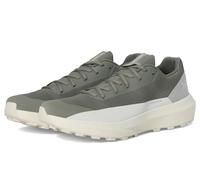 Arc'teryx Norvan LD 4 Shoe Chaussures de course adaptables pour homme, Fourrage/Soie Arctique Foncée, 45 EU