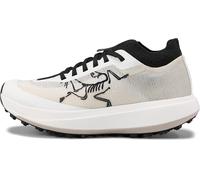 Arc'teryx Sylan Pro Shoe Chaussures de course en montagne respirantes conçues pour la vitesse, Soie arctique/soie arctique, 40 EU