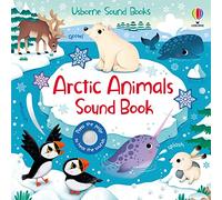 Sam Taplin – Arctic Animals Sound Book – Livre sonore – Usborne
