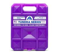 Arctic Ice Tundra Série réutilisable Cooler Lot, Mixte, 1205, Violet
